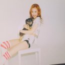 선미야채