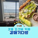 동해다방 | 강릉 뷰카페 안목해변 오션뷰 카페 갈매기다방 메론 홍콩와플