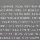 송당보건진료소 네이버블로그
