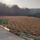 동량면사무소 이미지