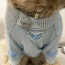 멍바라기 | 중형견 강아지 스판 좋은 봄옷 추천