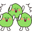 별헤는강