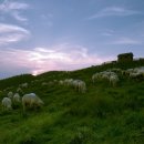 바우목장 이미지