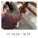 애목장 | 파주 룰루목장 동물먹이주기 감자캐기 체험목장 후기 – 아이랑 가기 좋은 신상 목장