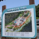 상천테마공원(주차장) 이미지