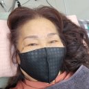 엠보디아 네이버블로그