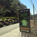 노아의숲관광농원