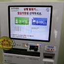 만다라꽃화원 | 대구 달성군 관광 비슬산 암괴류 대견사 참꽃군락지 반딧불이 전기차 달성 여행