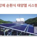 아라솔 이미지