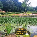 무궁화파크 이미지