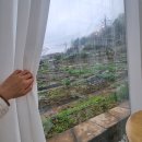 코코넛그루브 | [속초]코코넛그루브, 애매한 솔직후기