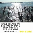 2025년 재미로 운영진및 계획안 이미지