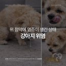 심동물병원 이미지