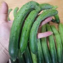 민숙농장 이미지