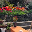 오늘도 화창 이미지