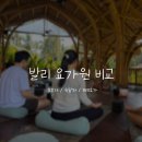 조가면 | [발리/우붓,짱구]발리 요가원 추천::루메리아·조가요가·퍼피요가 3곳 유형별 비교