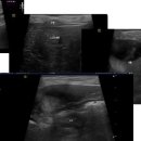 24시프라임동물병원 이미지