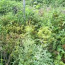 혜원유치원 이미지