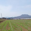 부흥마을 이미지