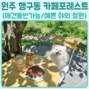 원주베이커리카페 행구동 카페포레스트 애견동반가능 멋진야외정원