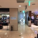 분당파피루스안경 이미지