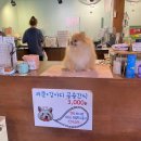 멍이와 쿤이 이미지