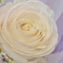 김가네가산롯데IT점 | 졸업식의 주인공을 더 빛내줄 감성 가득 '졸업식 꽃다발' 후기 -별꽃플라워-