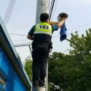 장수경찰서 이미지