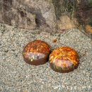 위봉사&amp;위봉폭포&amp;위봉산성 | 완주여행 가봤어? 위봉사와 위봉산성 "BTS도 반한 성지혜윰길의 매력"