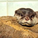 반딧불시장 주차장 이미지