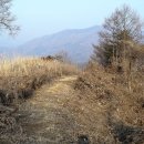 정선고성리산성 Daum카페
