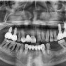 365안락한치과의원 이미지