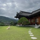 정원한옥민박 | [광양정원한옥민박] 애견동반 한옥에서 하루 🐶, 디지털 디톡스 제대로 하고 왔습니다.