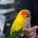 베스트피쉬 수족관 이미지