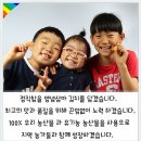 무농약 갓김치, 고들빼기김치, 유기농 열무물김치, 배추김치 50% 맛보기 이벤트 이미지