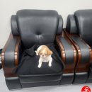 금강로 1445 이미지