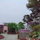 파인 관광농원 이미지