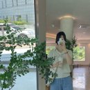 디퐁드 이미지