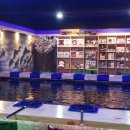 놀이터 실내낚시카페 이미지