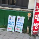 토요일(특별) | 최일순짬뽕순두부 토요일 웨이팅 후기 강릉 치즈쫄면순두부 찐후기