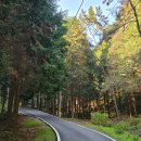 힐링요가 | 고성 갈모봉 자연휴양림 힐링 트레킹 숲 요가 다녀온 후기