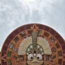 신화유치원 | 제주 신화월드 모모쥬 동물원 카피바라 먹이주기 후기