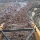 더덕쟁이 이미지