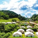 사나래글램핑장 이미지