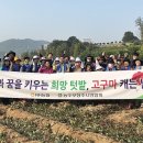 희망농장 이미지