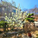 동하펜션 | [이천펜션] 동하펜션 이용후기, 서울근교 단체펜션 숙소로 좋았던 이유