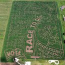 미로정원 이미지