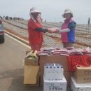 생활의상 이미지