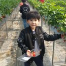 김주원농장 이미지