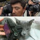 할라정원
